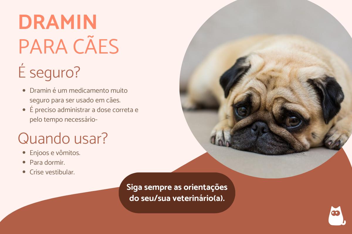 Pode dar Dramin para cachorro?