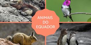 Animais do Equador
