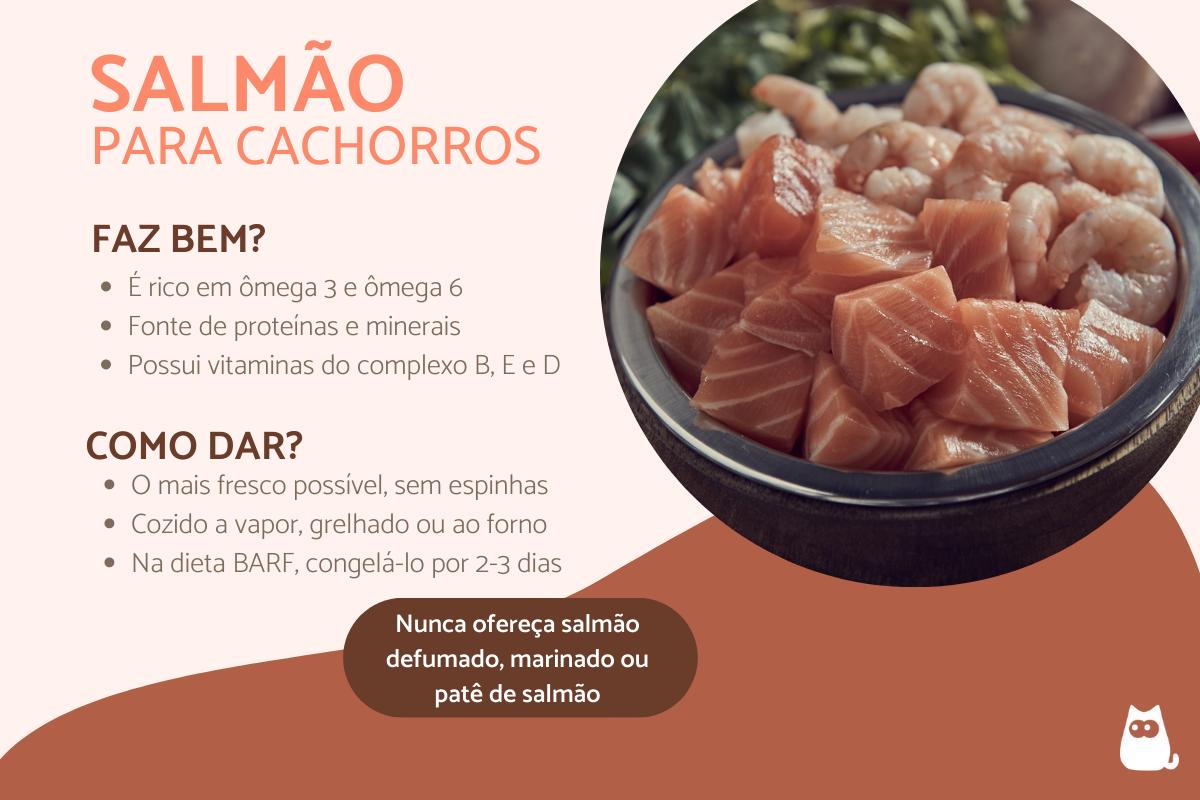Cachorro pode comer salmão?
