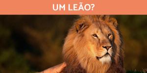 Quanto pesa um leão?