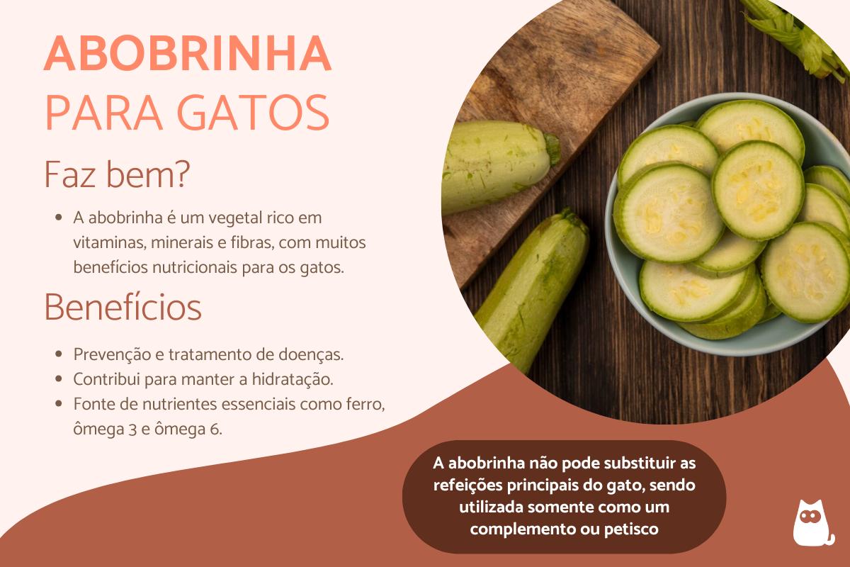 Gato pode comer abobrinha?