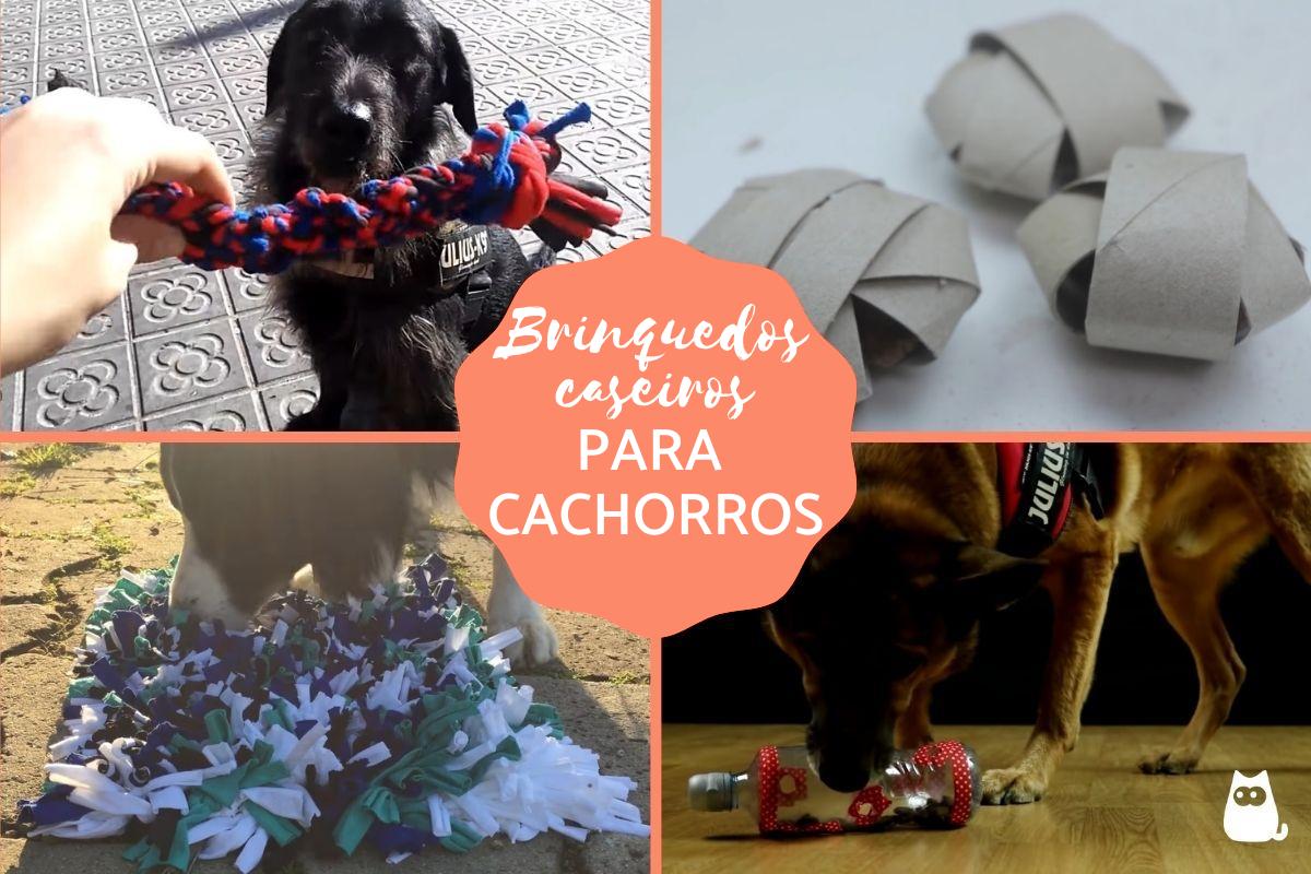 Como fazer brinquedos caseiros para cachorros