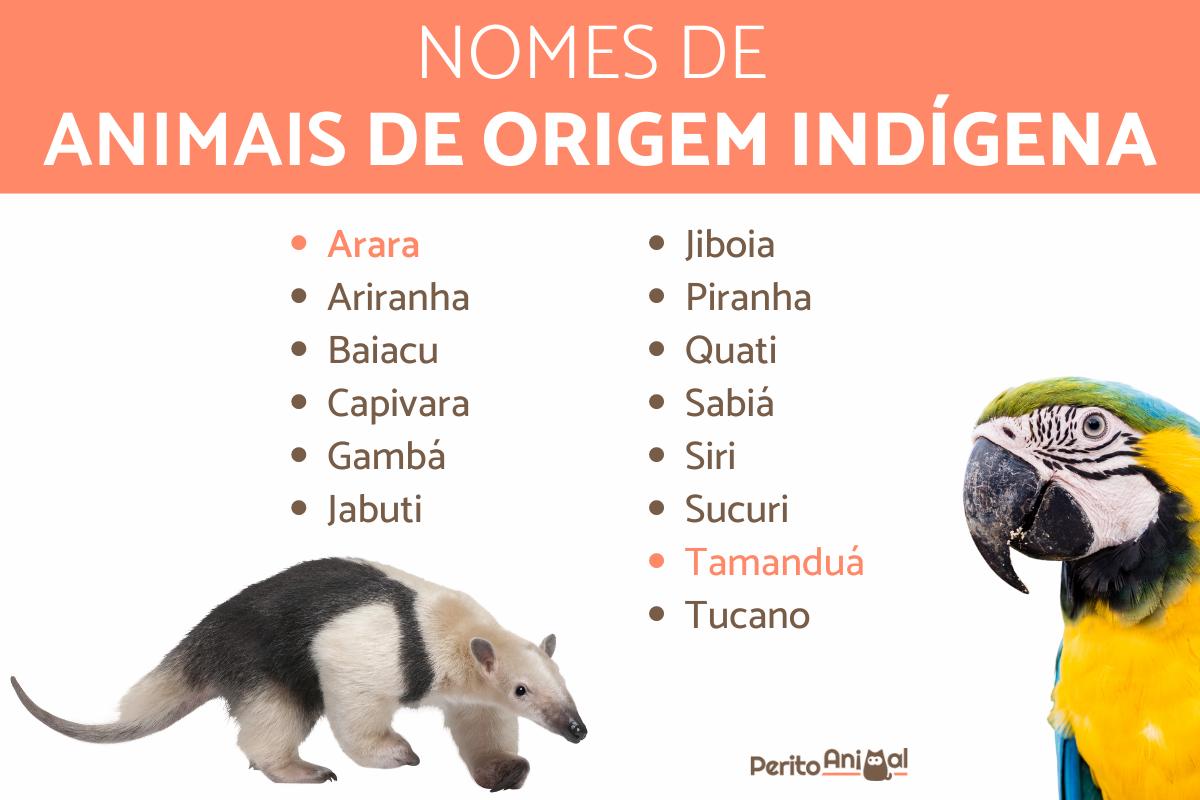 Nomes de animais de origem indígena