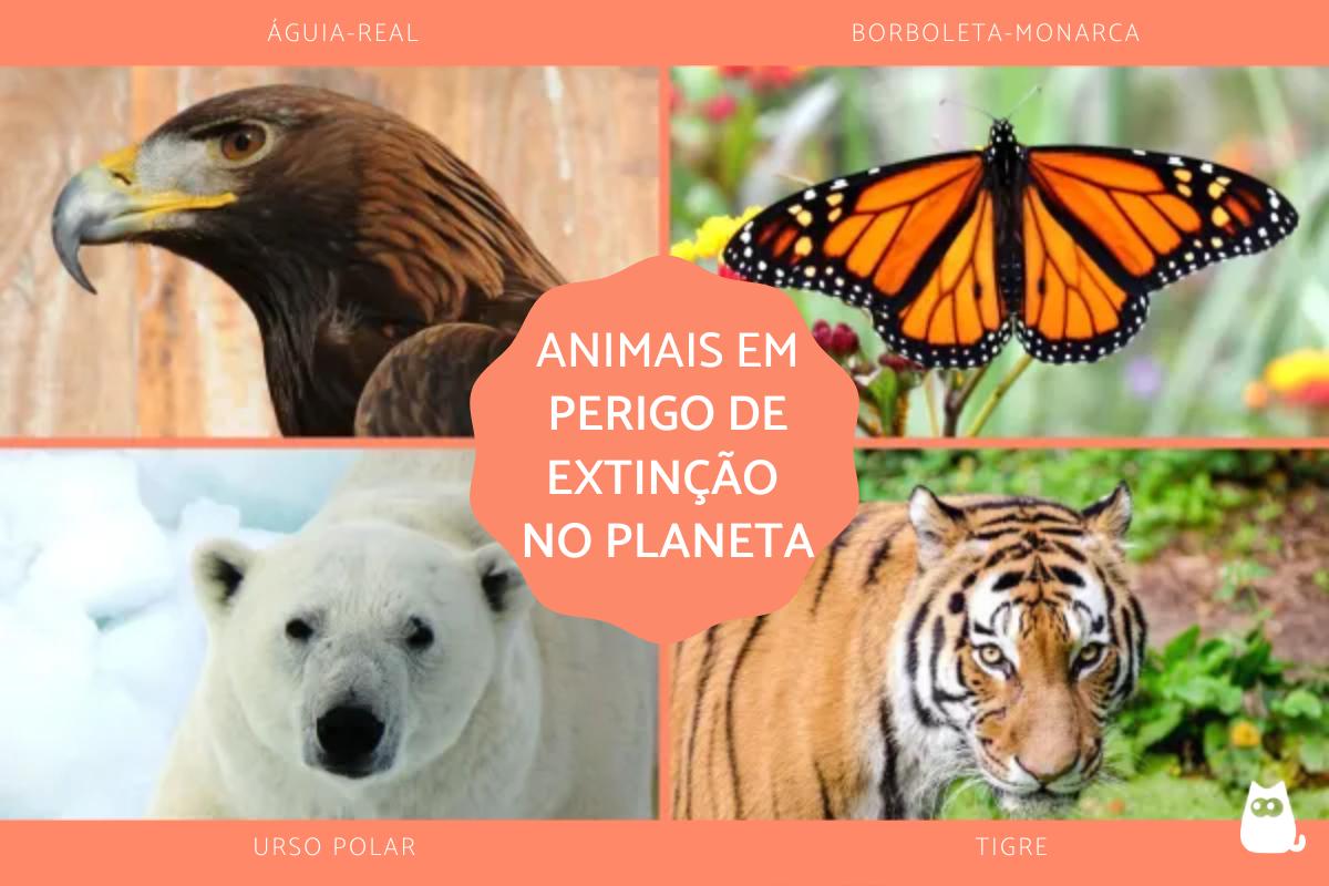 Animais em extinção no mundo