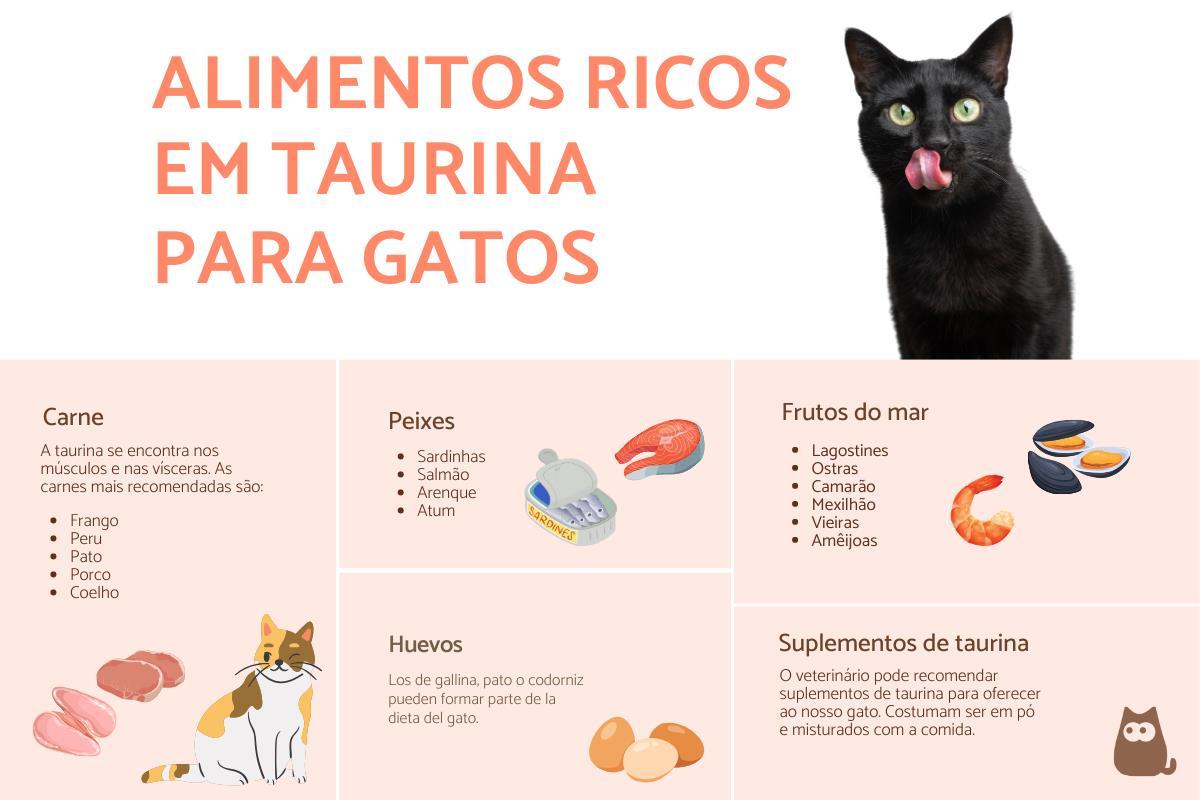 Alimentos ricos em taurina para gatos
