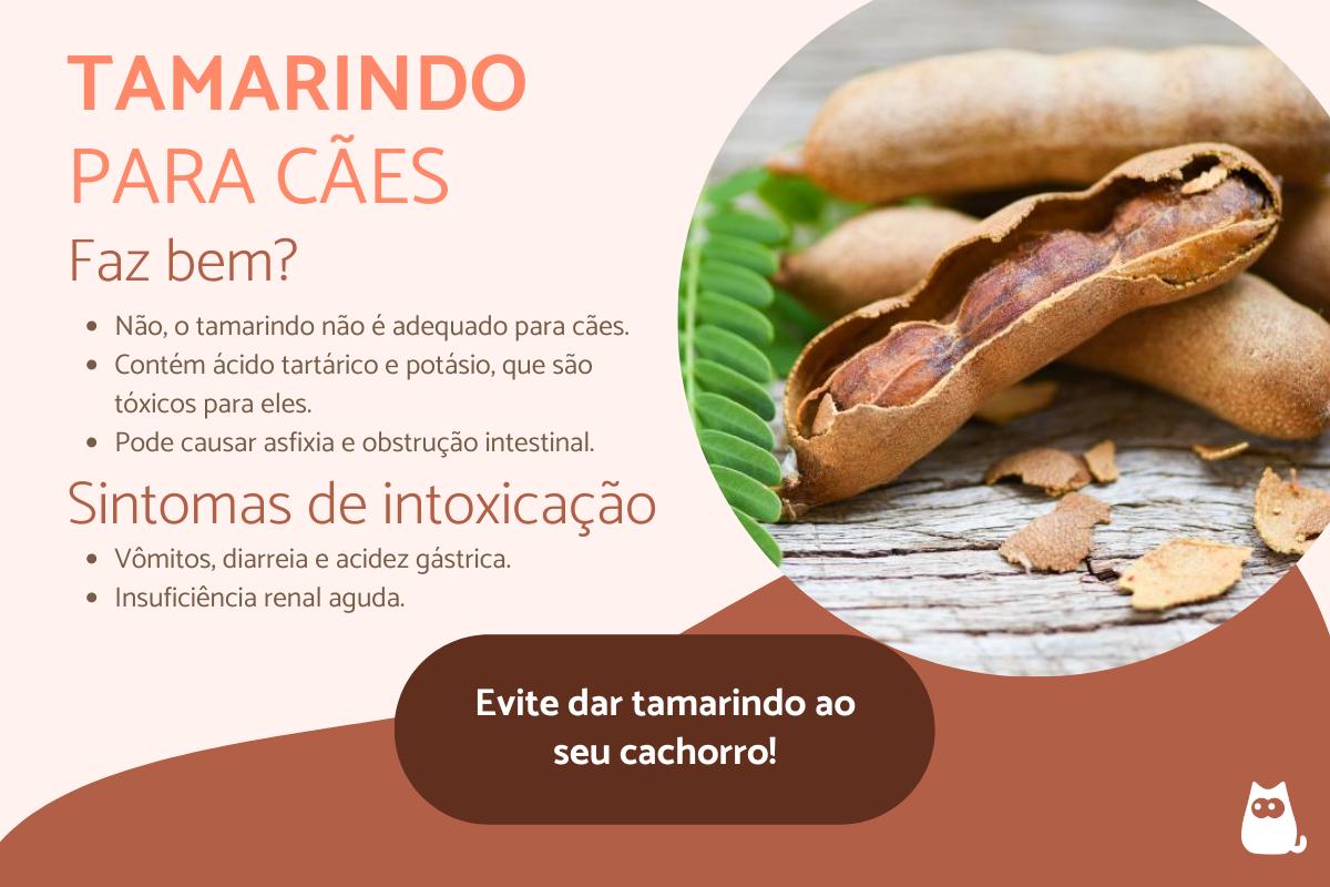 Cachorro comer tamarindo?