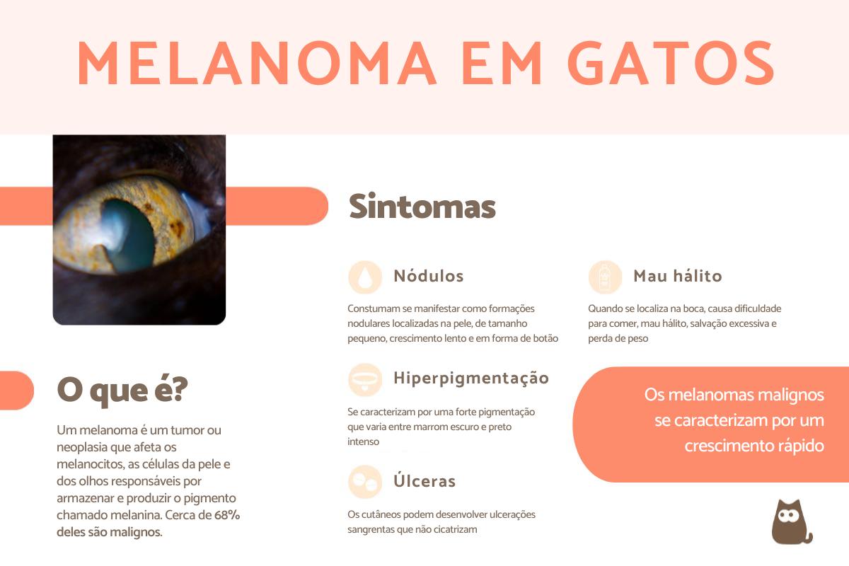 Melanoma em gatos: prognóstico e tratamento
