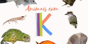 Animais com K - Nomes de espécies em português e inglês