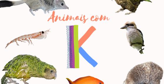 Animais com K - Nomes de espécies em português e inglês