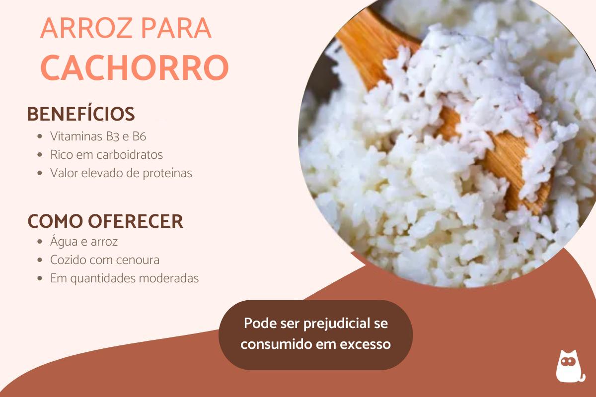 Cachorro pode comer arroz?