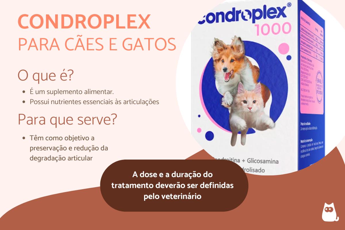 CondroPlex - Para que serve, dose, como usar e efeitos colaterais