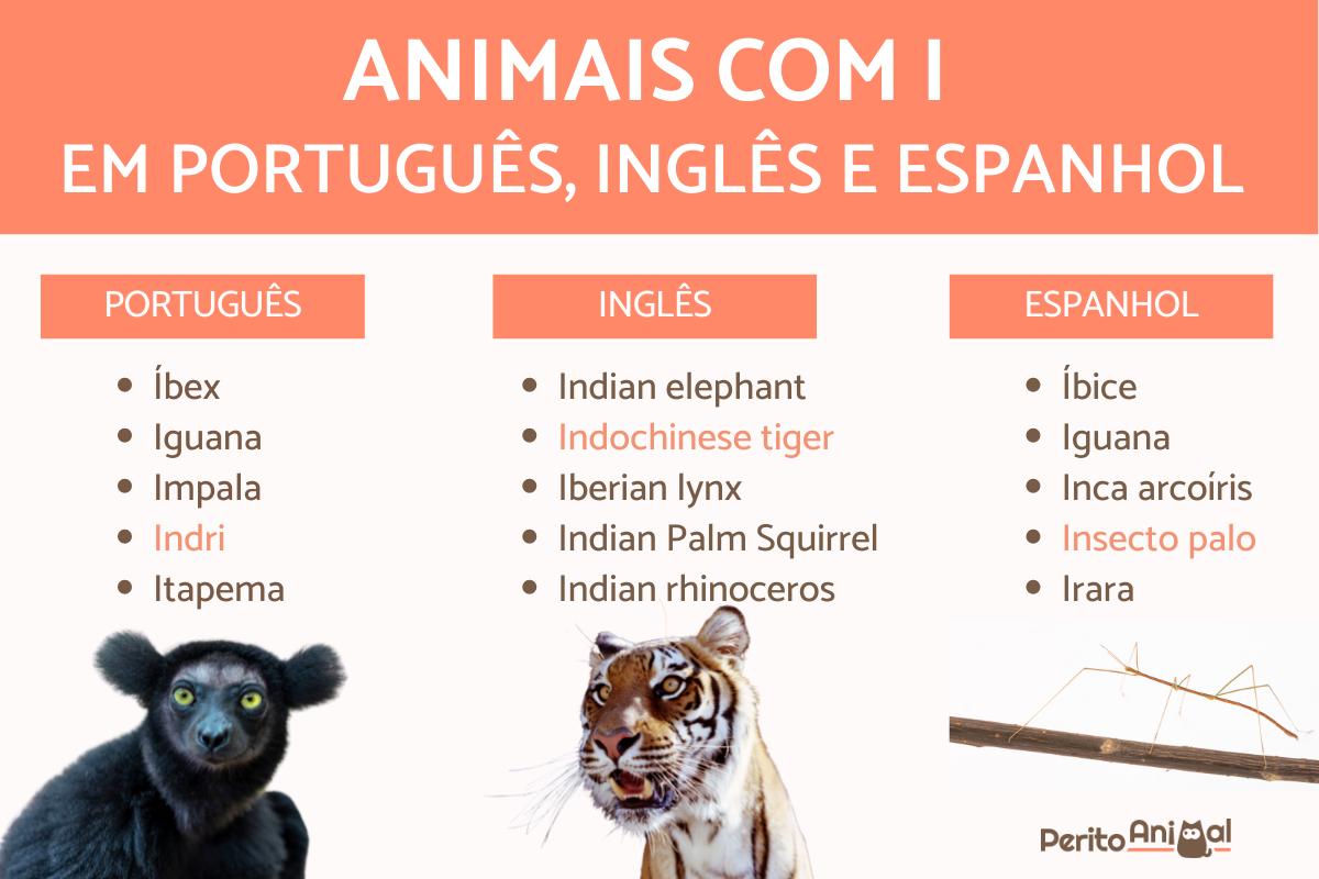 Animais com a letra I em português, inglês e espanhol