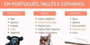 Animais com a letra I em português, inglês e espanhol