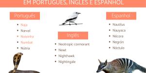 Animais com a letra N em português, inglês e espanhol