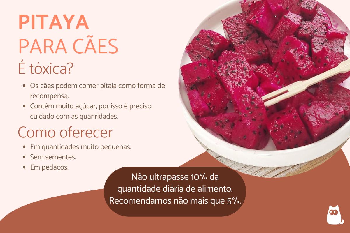 Cachorro pode comer pitaya?