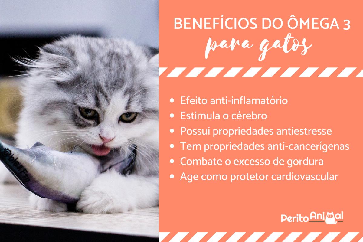 Ômega 3 para gatos: benefícios, doses e usos