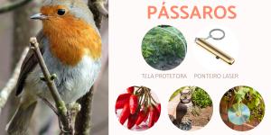 Como espantar pássaros?