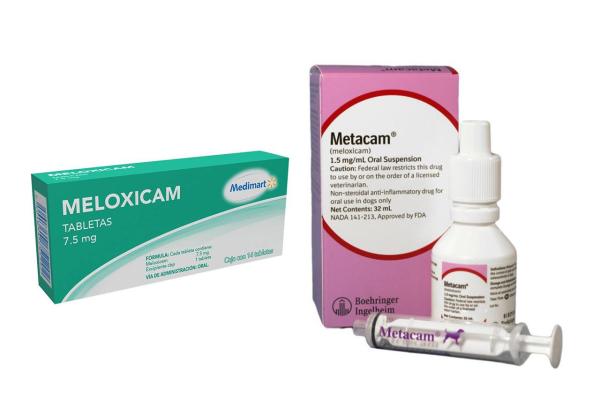 Meloxicam para cães: doses e efeitos colaterais - Metacam e meloxicam para cães são a mesma coisa?