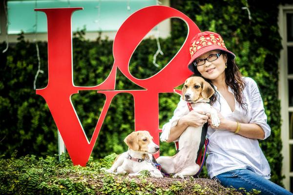 Nomes para cachorros Beagle - Ainda não escolheu o nome adequado?