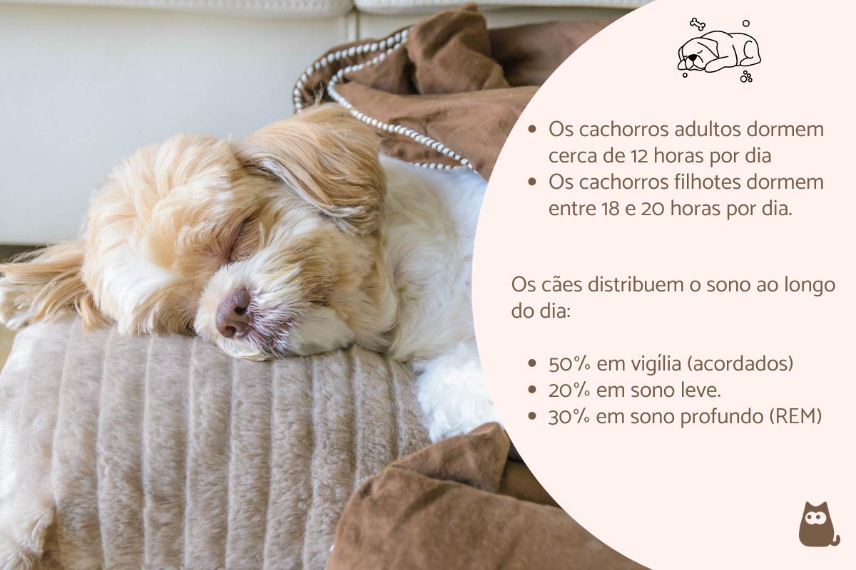 Quantas horas um cachorro dorme?