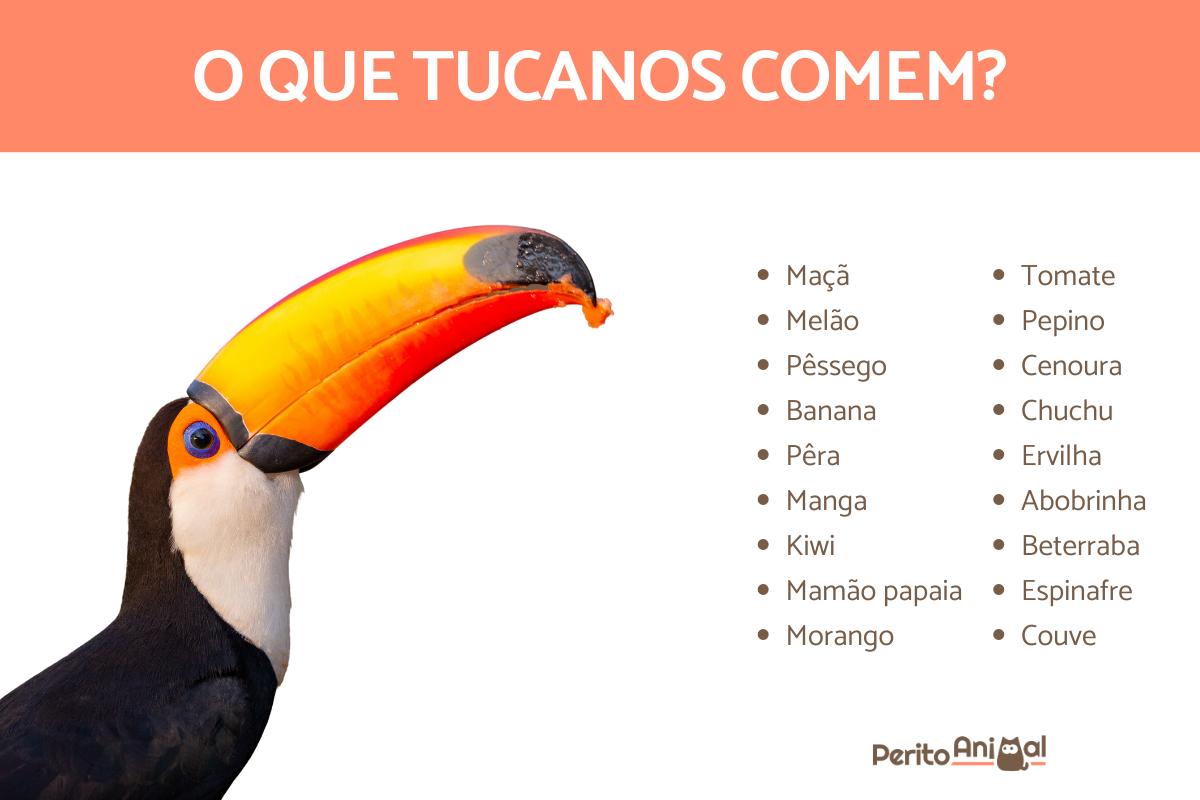 O que os tucanos comem?