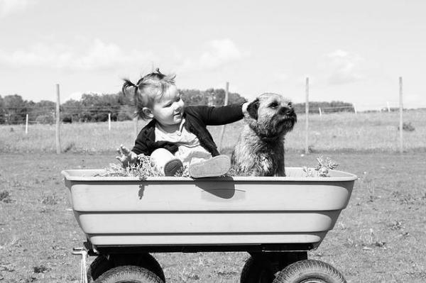 Meu cachorro tem ciúmes do bebê, o que fazer? - Antes da chegada do bebê
