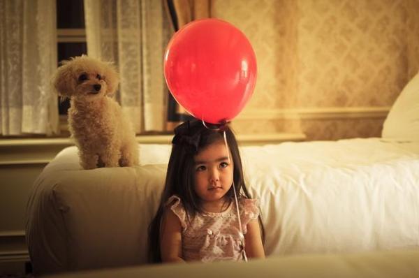 Meu cachorro tem ciúmes do bebê, o que fazer? - Apesar disso, continua ciumento