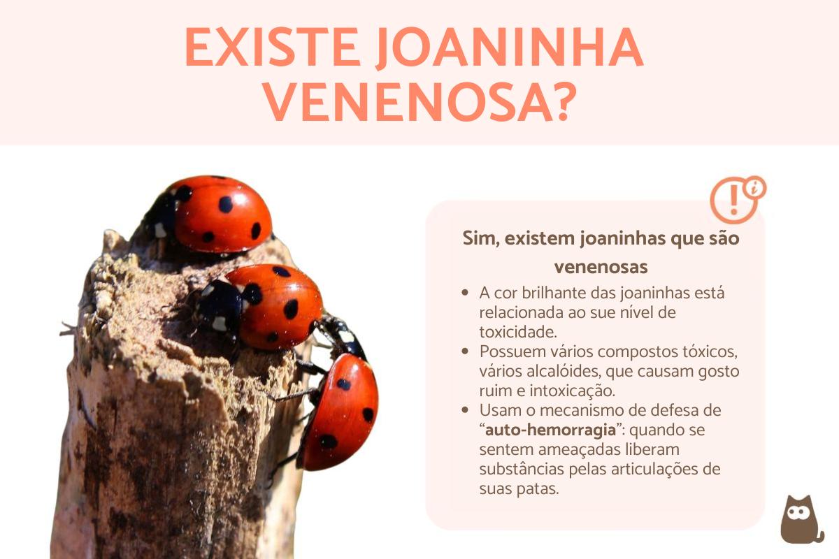 Joaninha é venenosa?