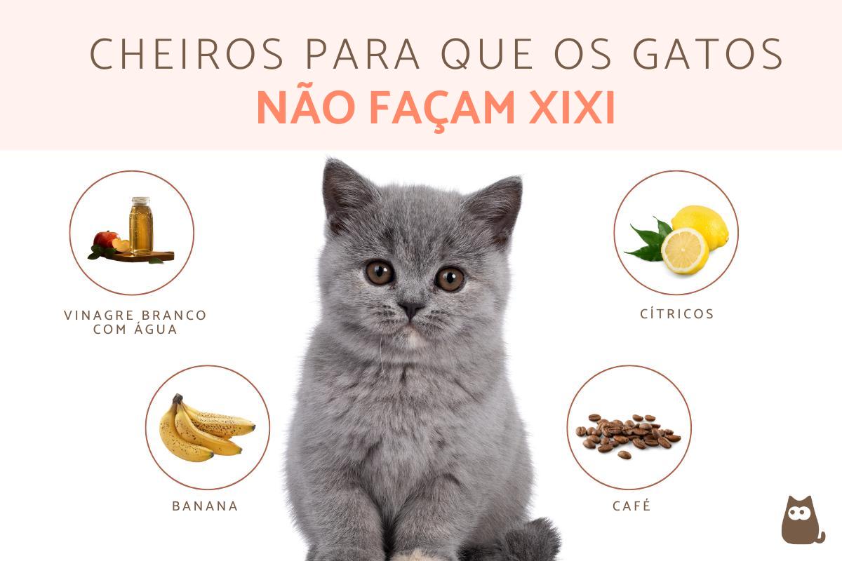 Repelente para gato não urinar