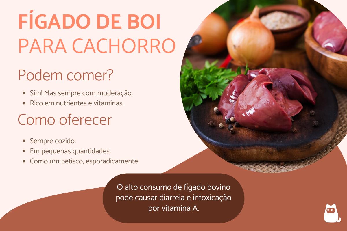 Cachorro pode comer figado de boi?