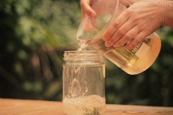 Como tirar o cheiro da urina de gato - Receita de detergente caseiro para xixi de gato