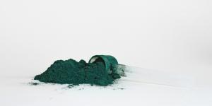 Spirulina para cachorro: para que serve, dosagem e efeitos colaterais