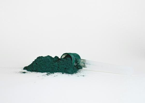 Spirulina para cachorro: para que serve, dosagem e efeitos colaterais