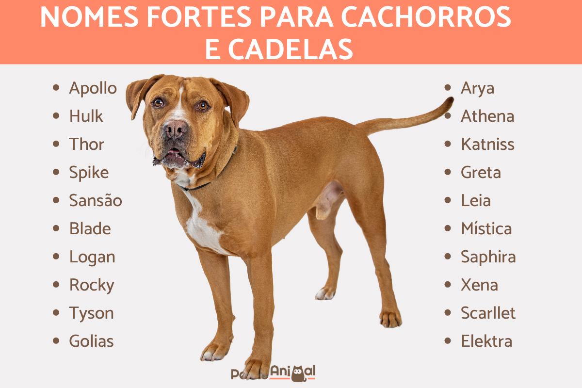 Nomes fortes para cachorro