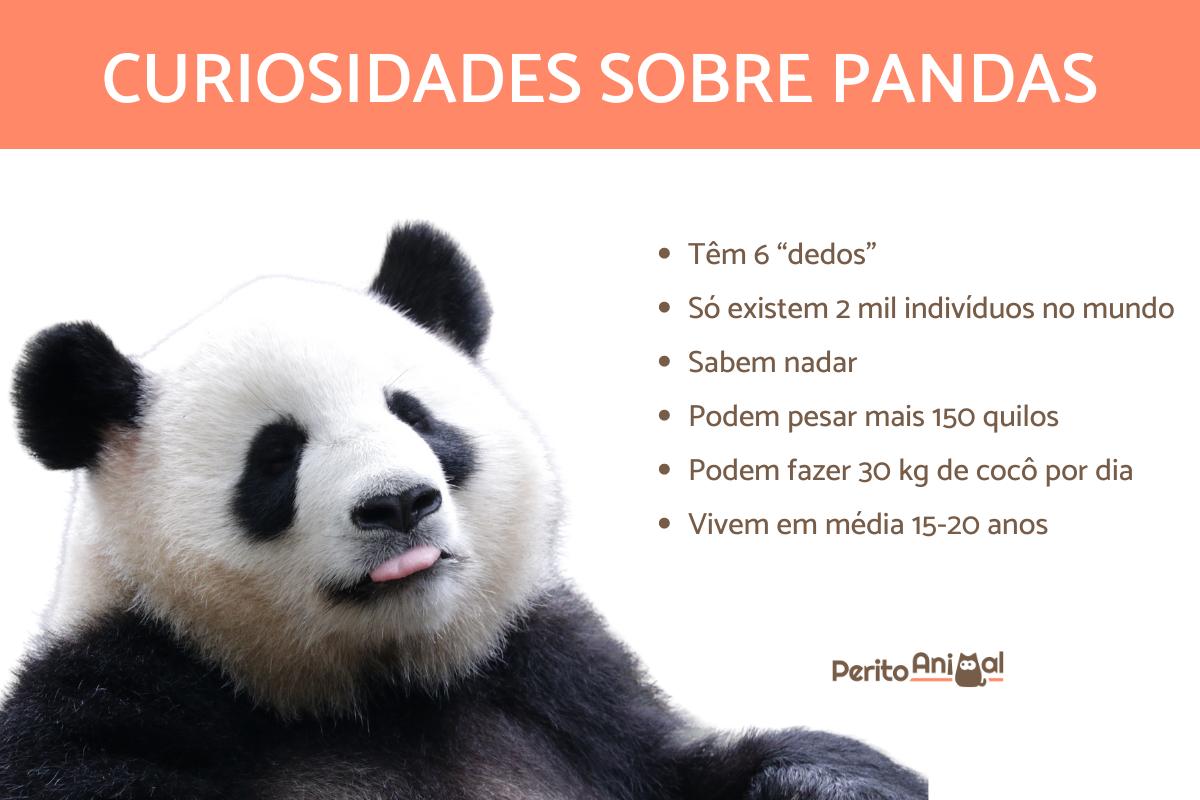 Curiosidades sobre pandas