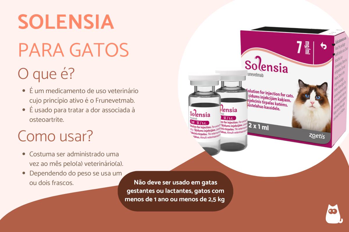 Solensia para gatos – Dosagem, efeitos colaterais e valor