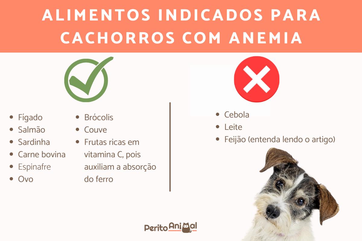 Alimentos ricos em ferro para cachorros