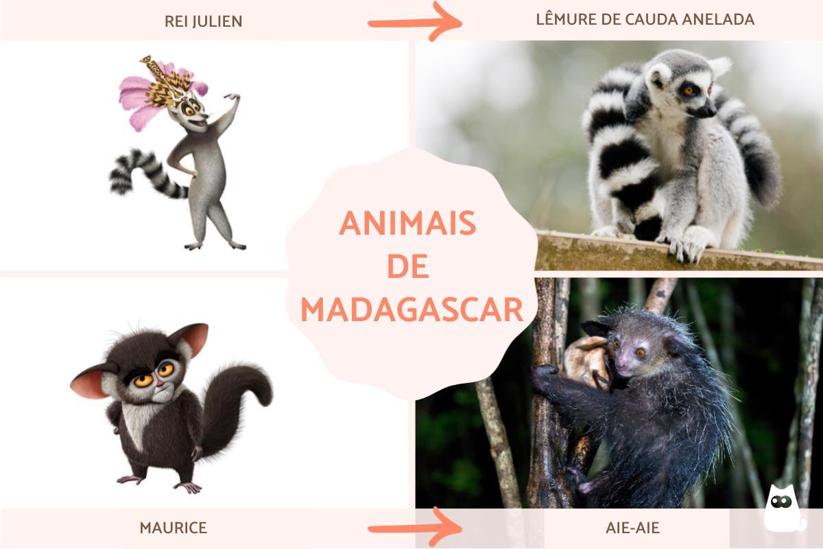 Animais do filme Madagascar