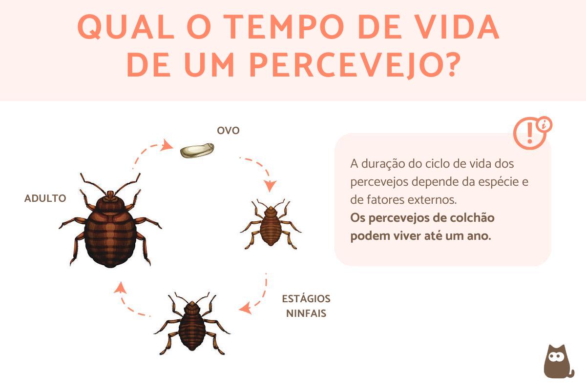 Qual o tempo de vida de um percevejo?