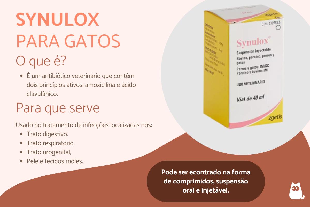 Para que serve o Synulox para gatos?