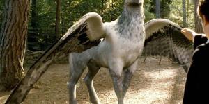 Animais de Harry Potter: características e curiosidades