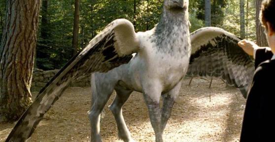 Animais de Harry Potter: características e curiosidades