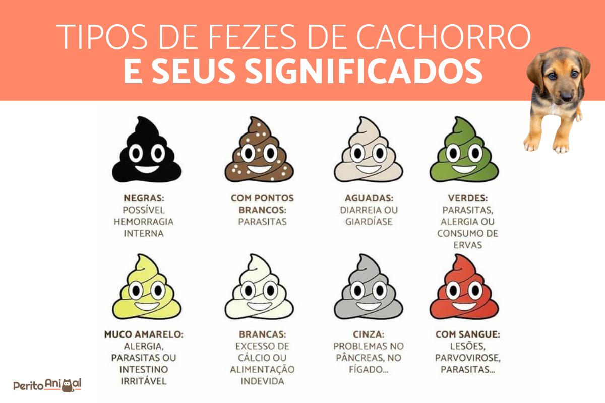 Tipos de fezes de cachorro