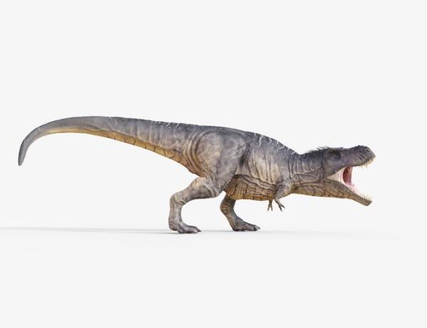 Tipos de dinossauros carnívoros - Exemplos de dinossauros carnívoros: Tyrannosaurus rex
