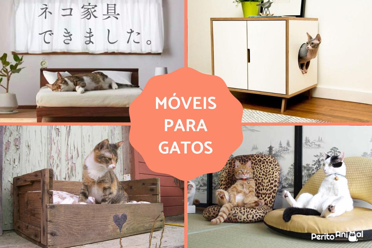Móveis para gatos
