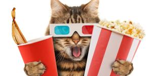 10 gatos famosos do cinema - nomes e filmes