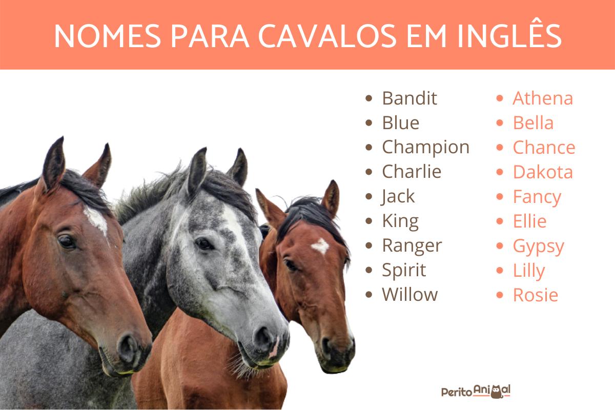 Nomes para cavalos em inglês