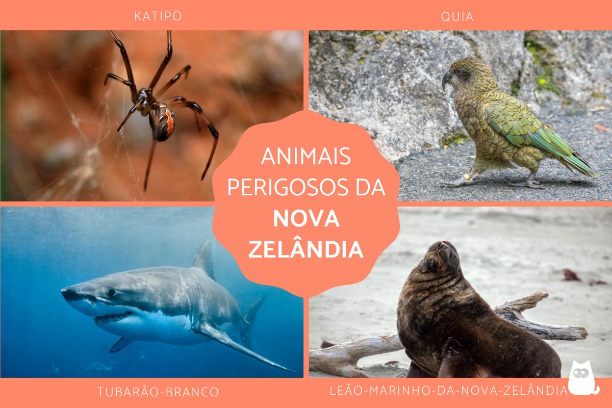 Qual é o animal mais perigoso da Nova Zelândia?
