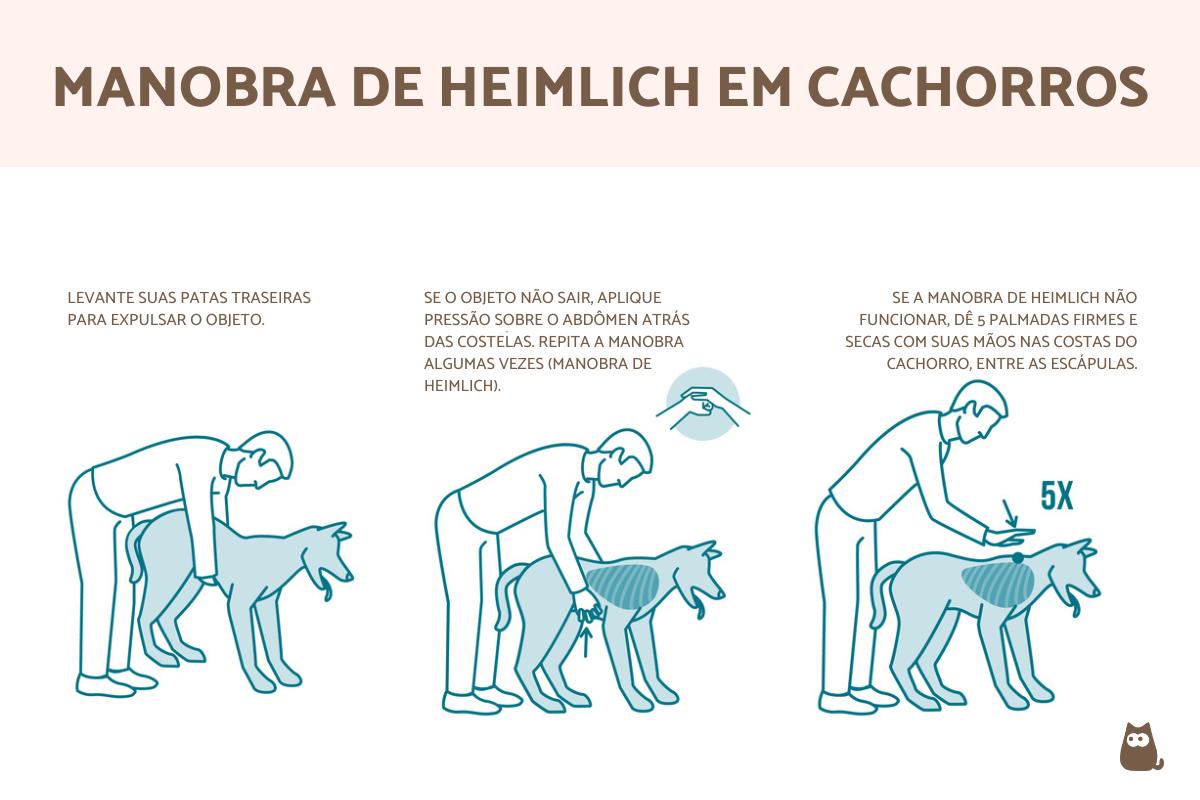 Como fazer a manobra de Heimlich em cachorros