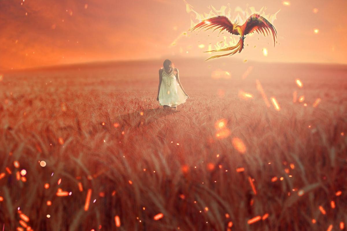 História e significado da fênix